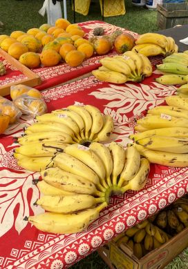 Bananas and other tropical fruit arranged on a table
