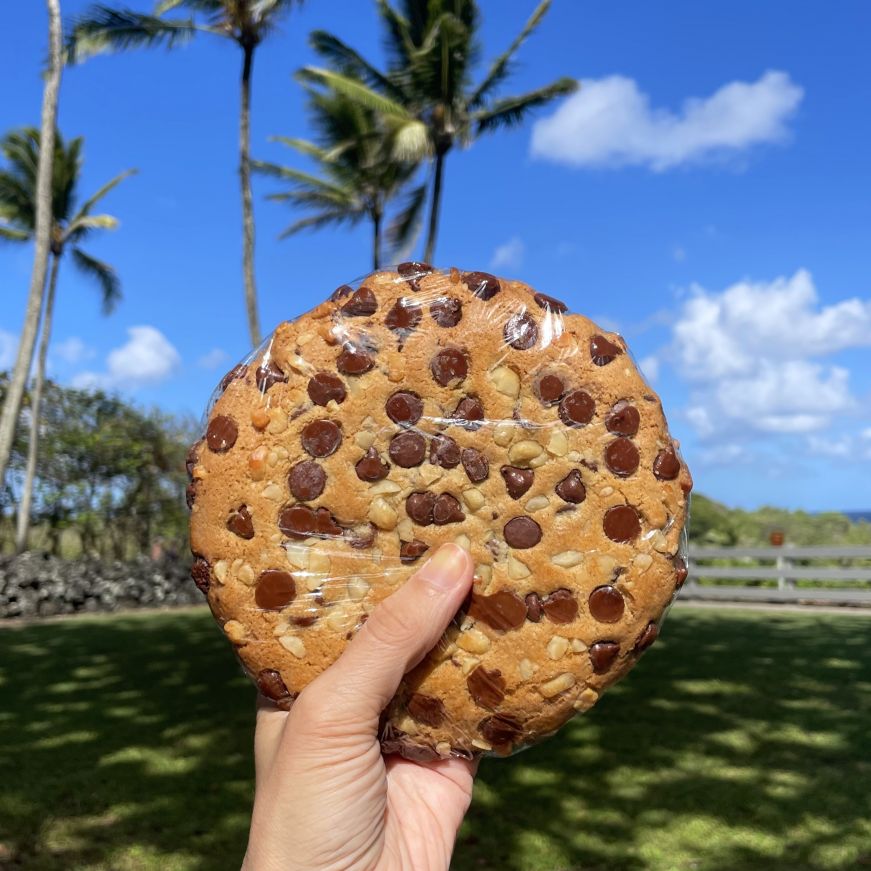 Stacy's hand holding a huge chocolate chunk and macadamia nut cookie with palm trees in the background