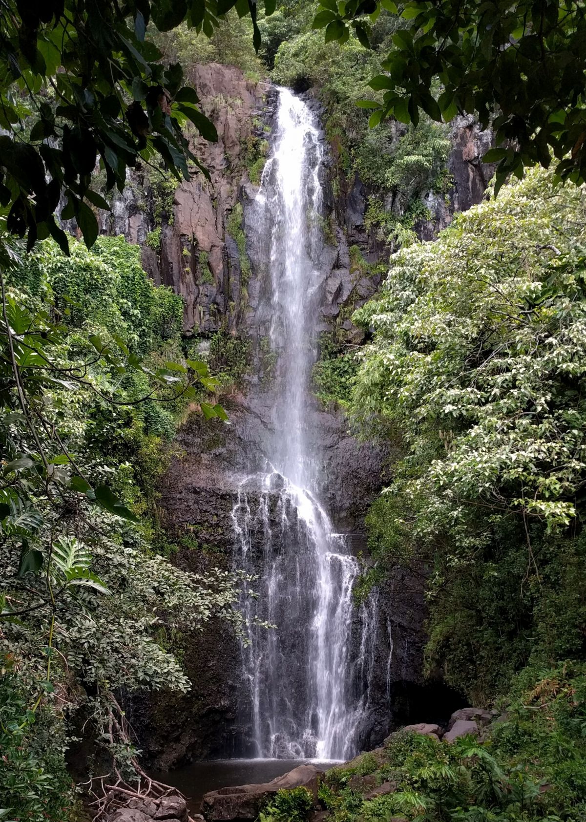 The Road to Hana | Tangled Up In Food