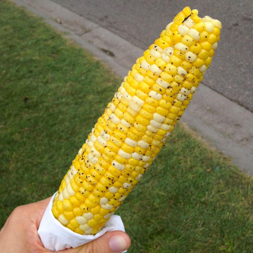 Ear of roasted corn