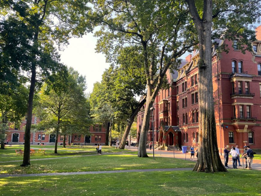 Grassy yard with large trees surrounded by brick buildings