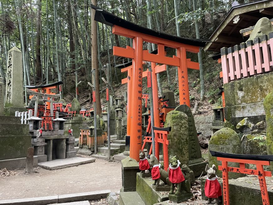 Red tori gates in a forest