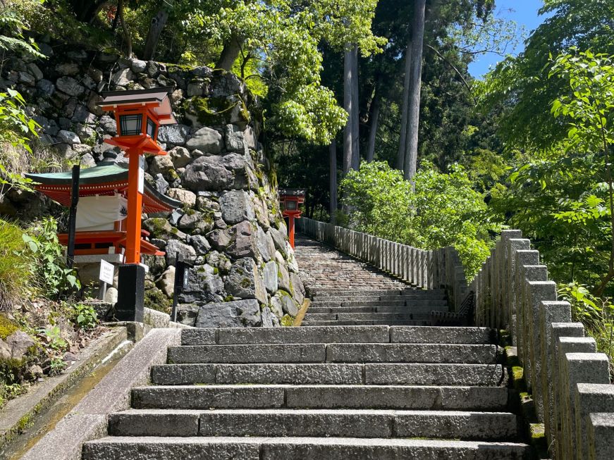 Stone staircase going up a wooded mountain