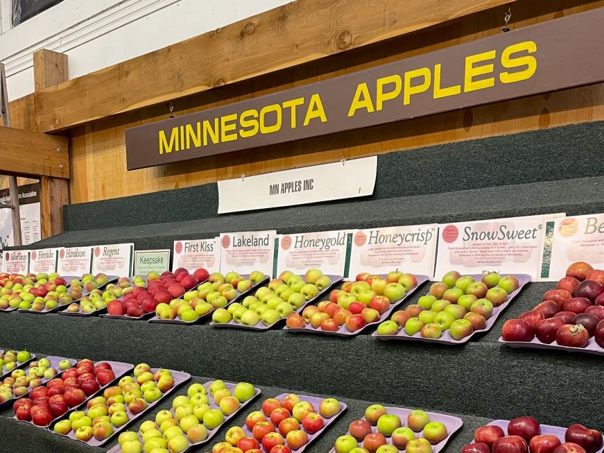 Display with a variety of apples