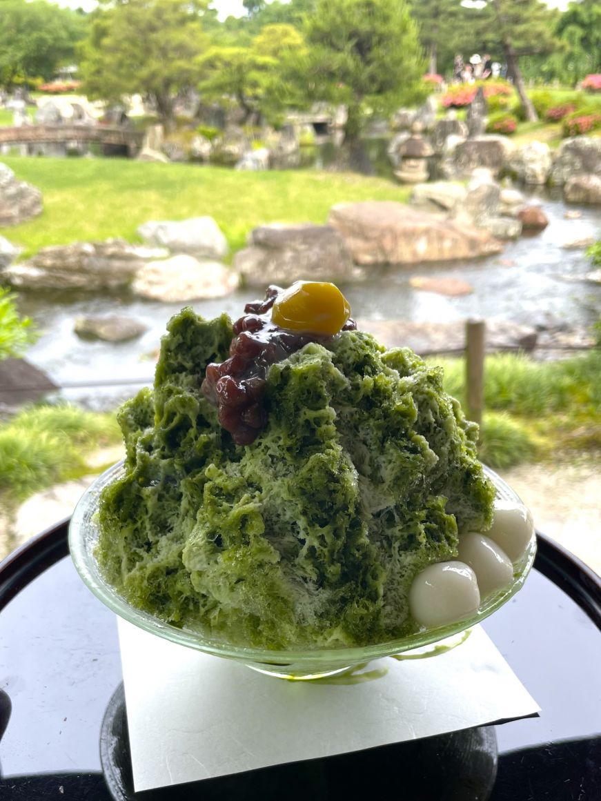 Bowl of matcha shave ice topped with red beans with a garden in the background